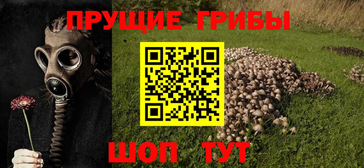 Псилоцибиновые грибы Magic Shrooms Богородицк