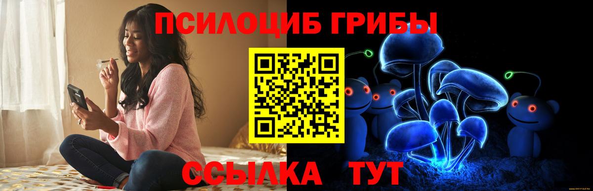 Псилоцибиновые грибы Psilocybe  Вход с VPN  Псилоцибиновые грибы ЛСД  Богородицк 